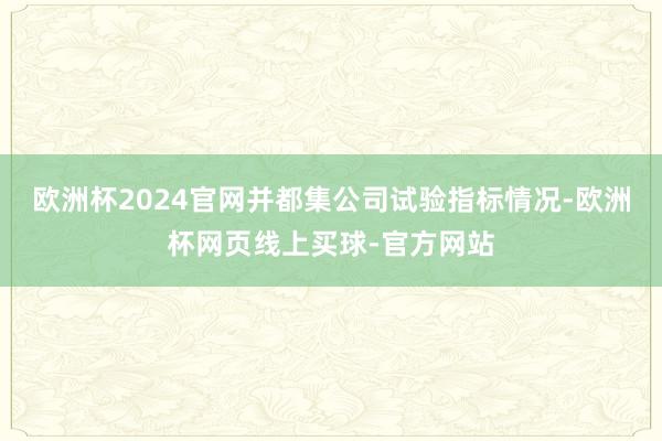欧洲杯2024官网并都集公司试验指标情况-欧洲杯网页线上买球-官方网站