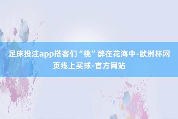足球投注app搭客们“桃”醉在花海中-欧洲杯网页线上买球-官方网站
