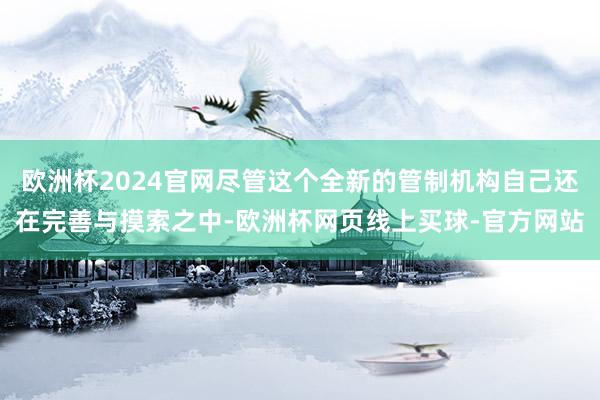 欧洲杯2024官网尽管这个全新的管制机构自己还在完善与摸索之中-欧洲杯网页线上买球-官方网站