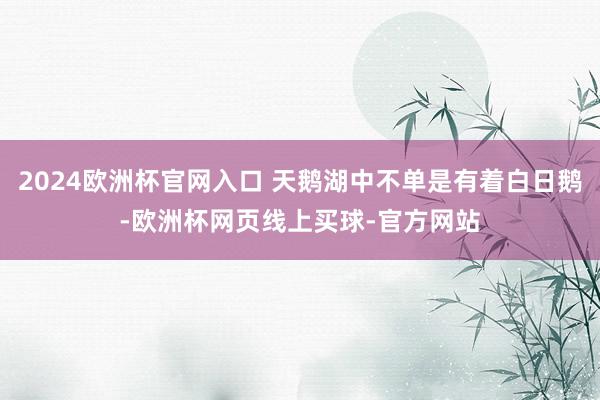 2024欧洲杯官网入口 天鹅湖中不单是有着白日鹅-欧洲杯网页线上买球-官方网站