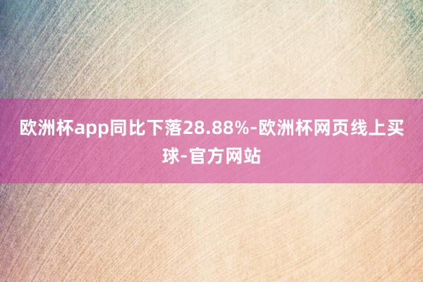 欧洲杯app同比下落28.88%-欧洲杯网页线上买球-官方网站