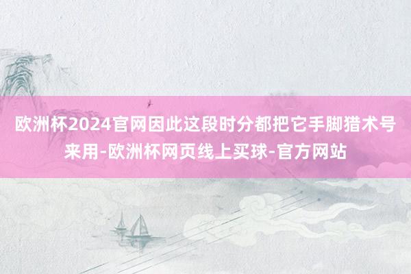 欧洲杯2024官网因此这段时分都把它手脚猎术号来用-欧洲杯网页线上买球-官方网站