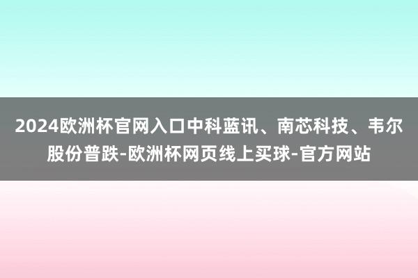 2024欧洲杯官网入口中科蓝讯、南芯科技、韦尔股份普跌-欧洲杯网页线上买球-官方网站