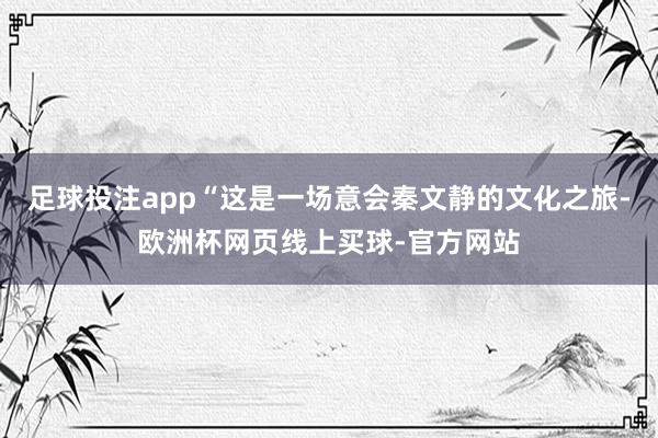 足球投注app“这是一场意会秦文静的文化之旅-欧洲杯网页线上买球-官方网站