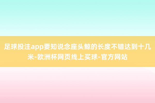 足球投注app要知说念座头鲸的长度不错达到十几米-欧洲杯网页线上买球-官方网站