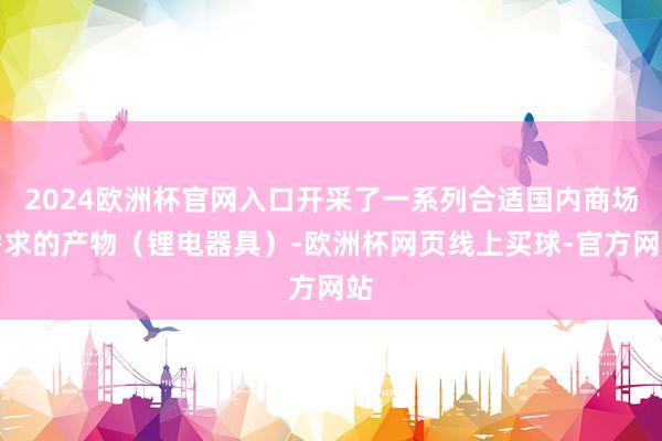 2024欧洲杯官网入口开采了一系列合适国内商场需求的产物（锂电器具）-欧洲杯网页线上买球-官方网站