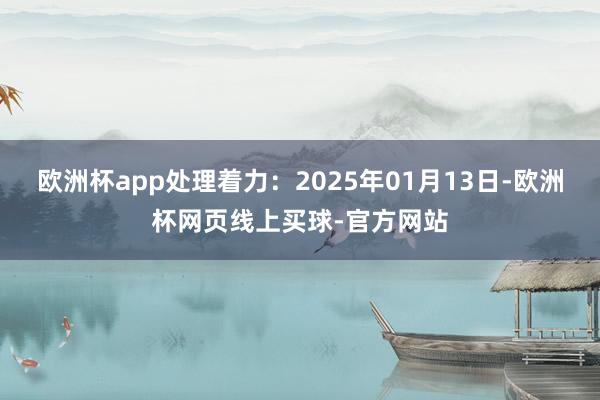 欧洲杯app处理着力：2025年01月13日-欧洲杯网页线上买球-官方网站