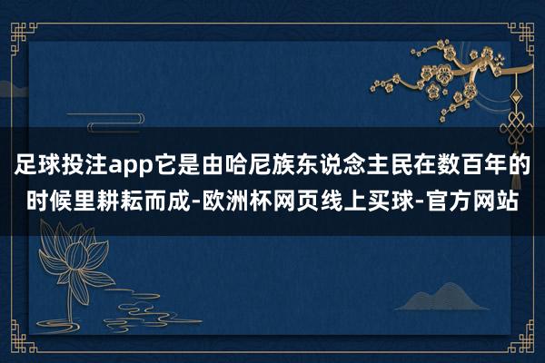 足球投注app它是由哈尼族东说念主民在数百年的时候里耕耘而成-欧洲杯网页线上买球-官方网站