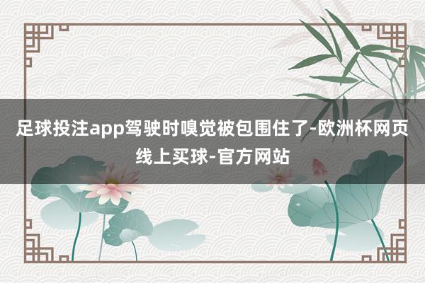 足球投注app驾驶时嗅觉被包围住了-欧洲杯网页线上买球-官方网站
