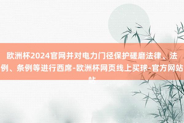 欧洲杯2024官网并对电力门径保护磋磨法律、法例、条例等进行西席-欧洲杯网页线上买球-官方网站