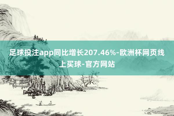 足球投注app同比增长207.46%-欧洲杯网页线上买球-官方网站