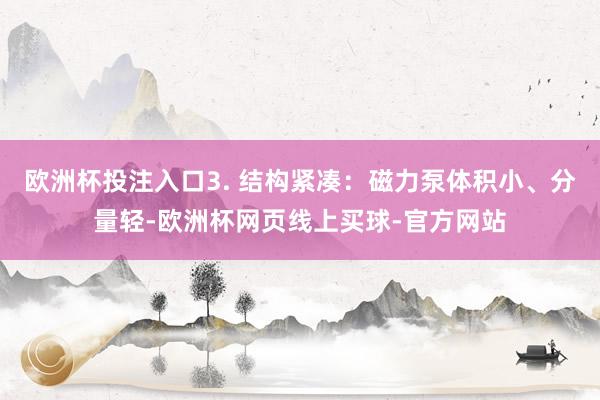 欧洲杯投注入口3. 结构紧凑：磁力泵体积小、分量轻-欧洲杯网页线上买球-官方网站