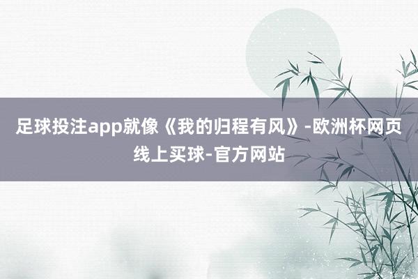 足球投注app就像《我的归程有风》-欧洲杯网页线上买球-官方网站