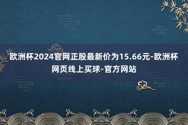 欧洲杯2024官网正股最新价为15.66元-欧洲杯网页线上买球-官方网站