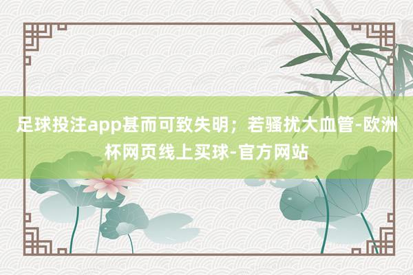 足球投注app甚而可致失明；若骚扰大血管-欧洲杯网页线上买球-官方网站