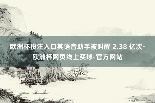 欧洲杯投注入口其语音助手被叫醒 2.38 亿次-欧洲杯网页线上买球-官方网站