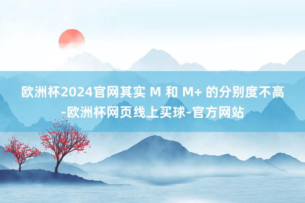 欧洲杯2024官网其实 M 和 M+ 的分别度不高-欧洲杯网页线上买球-官方网站