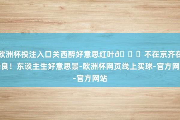 欧洲杯投注入口关西醉好意思红叶🍁不在京齐在奈良！东谈主生好意思景-欧洲杯网页线上买球-官方网站
