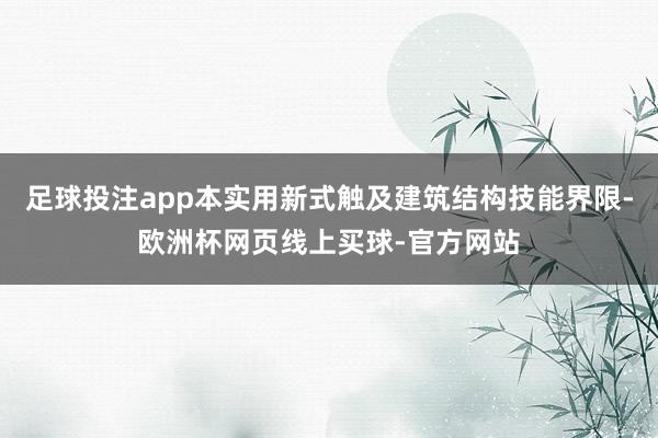 足球投注app本实用新式触及建筑结构技能界限-欧洲杯网页线上买球-官方网站