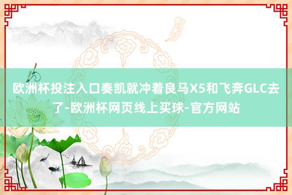 欧洲杯投注入口奏凯就冲着良马X5和飞奔GLC去了-欧洲杯网页线上买球-官方网站