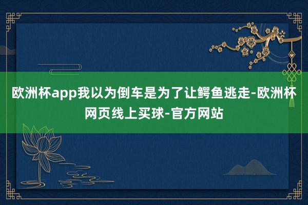 欧洲杯app我以为倒车是为了让鳄鱼逃走-欧洲杯网页线上买球-官方网站
