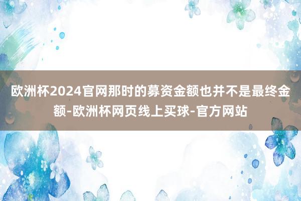 欧洲杯2024官网那时的募资金额也并不是最终金额-欧洲杯网页线上买球-官方网站