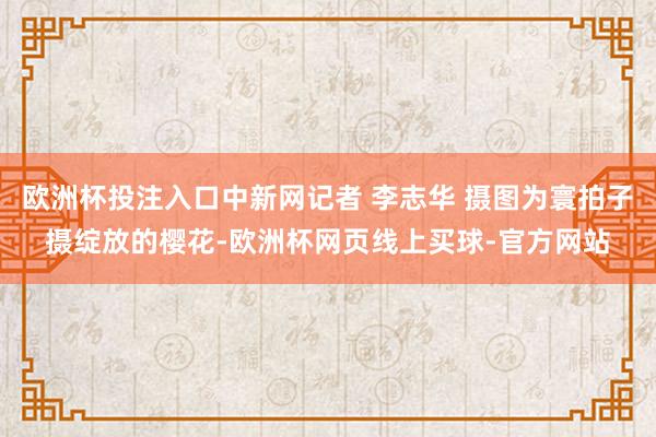 欧洲杯投注入口中新网记者 李志华 摄图为寰拍子摄绽放的樱花-欧洲杯网页线上买球-官方网站