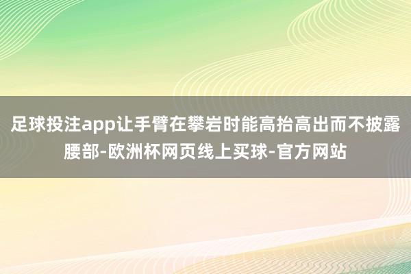 足球投注app让手臂在攀岩时能高抬高出而不披露腰部-欧洲杯网页线上买球-官方网站