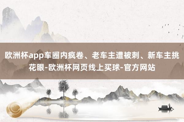 欧洲杯app车圈内疯卷、老车主遭被刺、新车主挑花眼-欧洲杯网页线上买球-官方网站