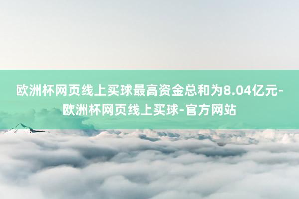 欧洲杯网页线上买球最高资金总和为8.04亿元-欧洲杯网页线上买球-官方网站