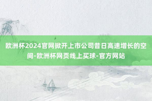 欧洲杯2024官网掀开上市公司昔日高速增长的空间-欧洲杯网页线上买球-官方网站