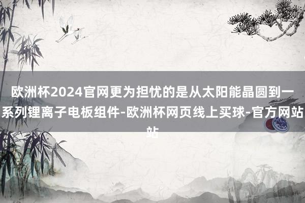欧洲杯2024官网更为担忧的是从太阳能晶圆到一系列锂离子电板组件-欧洲杯网页线上买球-官方网站