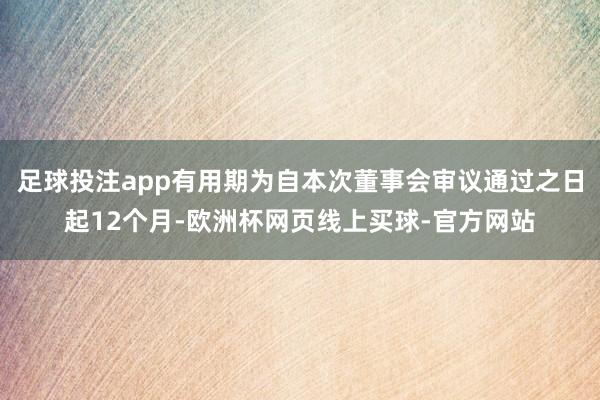 足球投注app有用期为自本次董事会审议通过之日起12个月-欧洲杯网页线上买球-官方网站