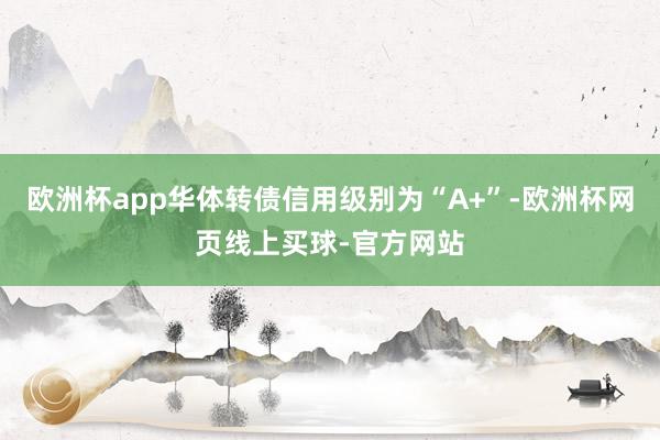 欧洲杯app华体转债信用级别为“A+”-欧洲杯网页线上买球-官方网站