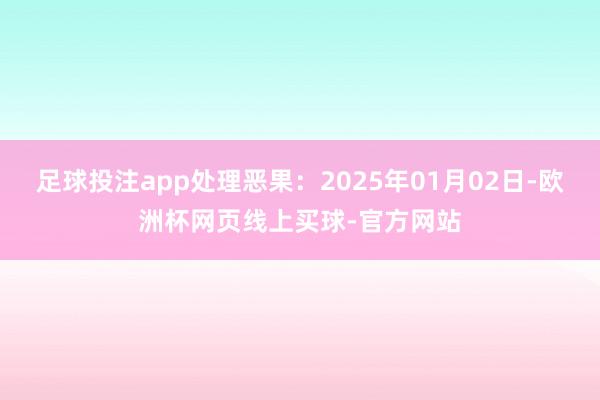 足球投注app处理恶果：2025年01月02日-欧洲杯网页线上买球-官方网站