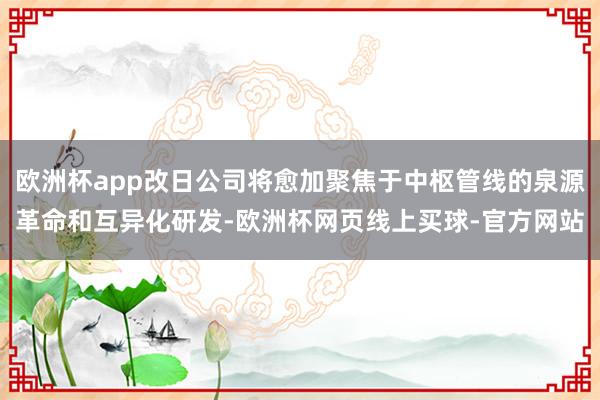 欧洲杯app改日公司将愈加聚焦于中枢管线的泉源革命和互异化研发-欧洲杯网页线上买球-官方网站