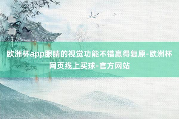 欧洲杯app眼睛的视觉功能不错赢得复原-欧洲杯网页线上买球-官方网站