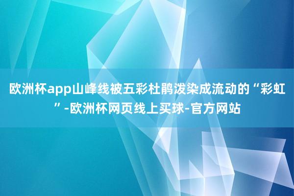 欧洲杯app山峰线被五彩杜鹃泼染成流动的“彩虹”-欧洲杯网页线上买球-官方网站