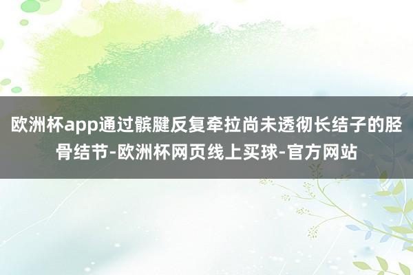 欧洲杯app通过髌腱反复牵拉尚未透彻长结子的胫骨结节-欧洲杯网页线上买球-官方网站
