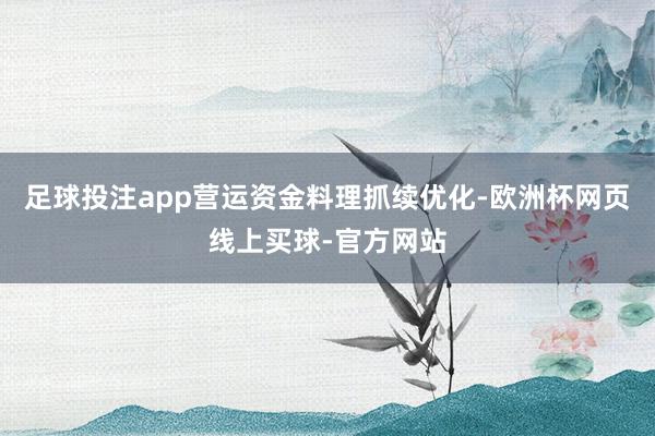 足球投注app营运资金料理抓续优化-欧洲杯网页线上买球-官方网站