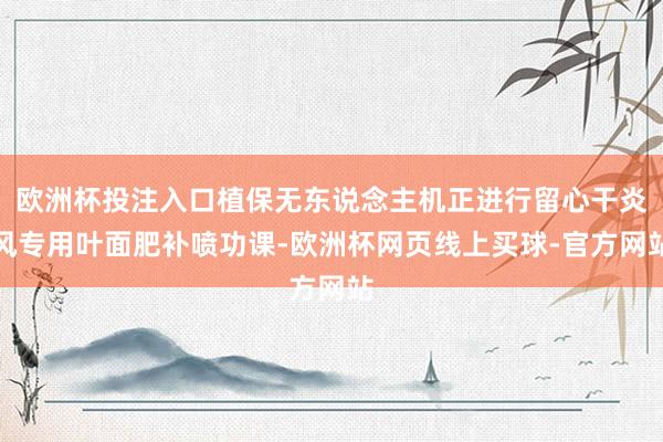 欧洲杯投注入口植保无东说念主机正进行留心干炎风专用叶面肥补喷功课-欧洲杯网页线上买球-官方网站
