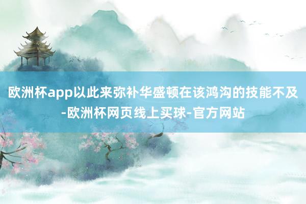 欧洲杯app以此来弥补华盛顿在该鸿沟的技能不及-欧洲杯网页线上买球-官方网站