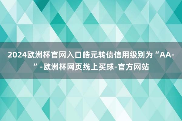2024欧洲杯官网入口皓元转债信用级别为“AA-”-欧洲杯网页线上买球-官方网站