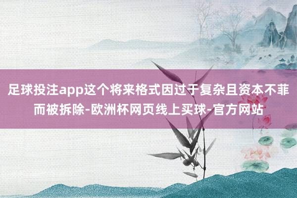 足球投注app这个将来格式因过于复杂且资本不菲而被拆除-欧洲杯网页线上买球-官方网站