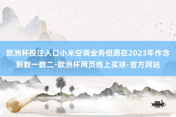 欧洲杯投注入口小米空调业务但愿在2023年作念到数一数二-欧洲杯网页线上买球-官方网站